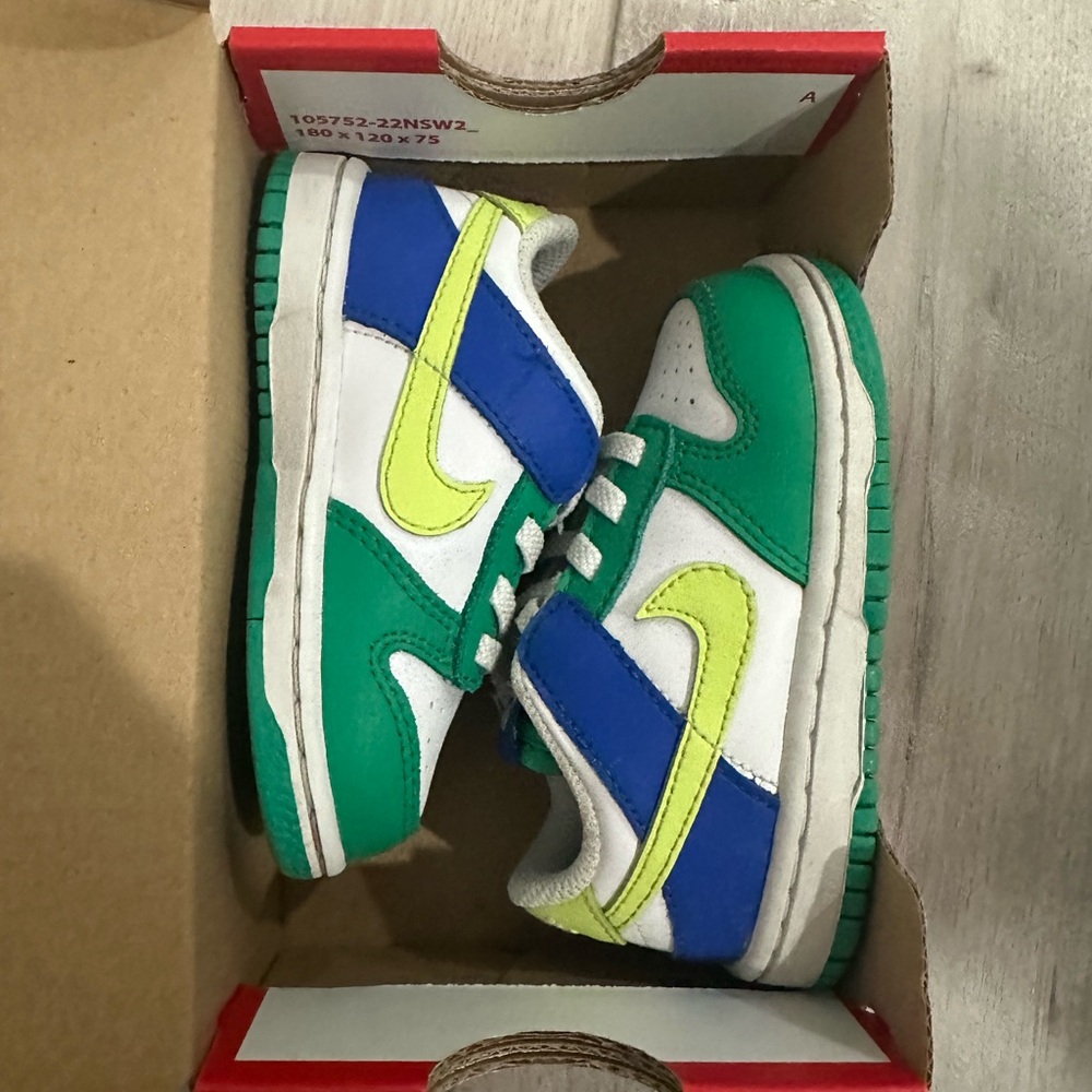 Toddler Nike Dunks